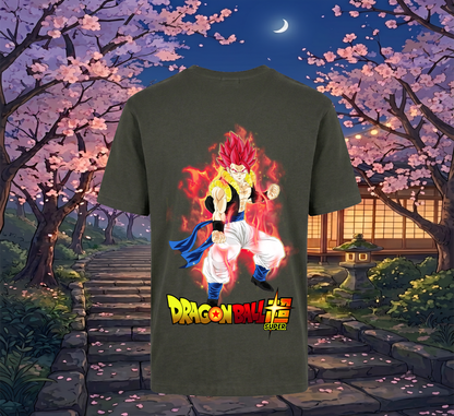 DB Super Saiyan God V2