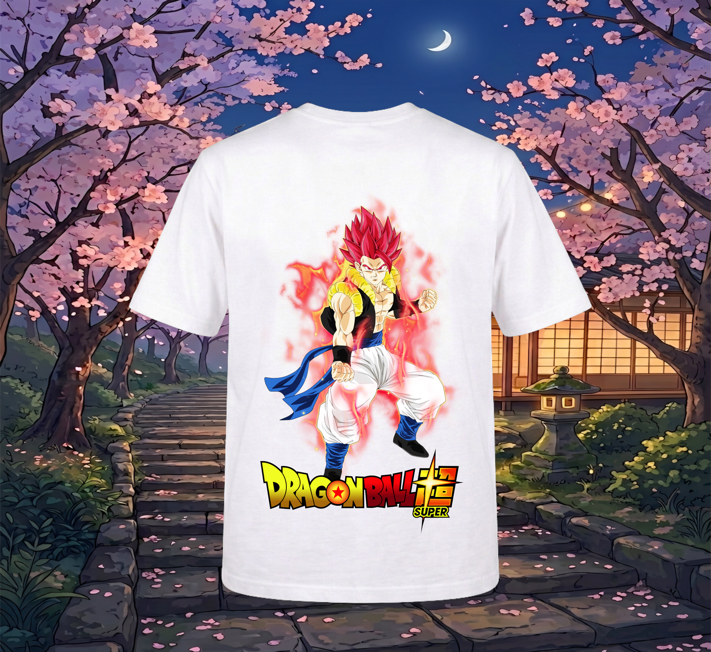DB Super Saiyan God V2