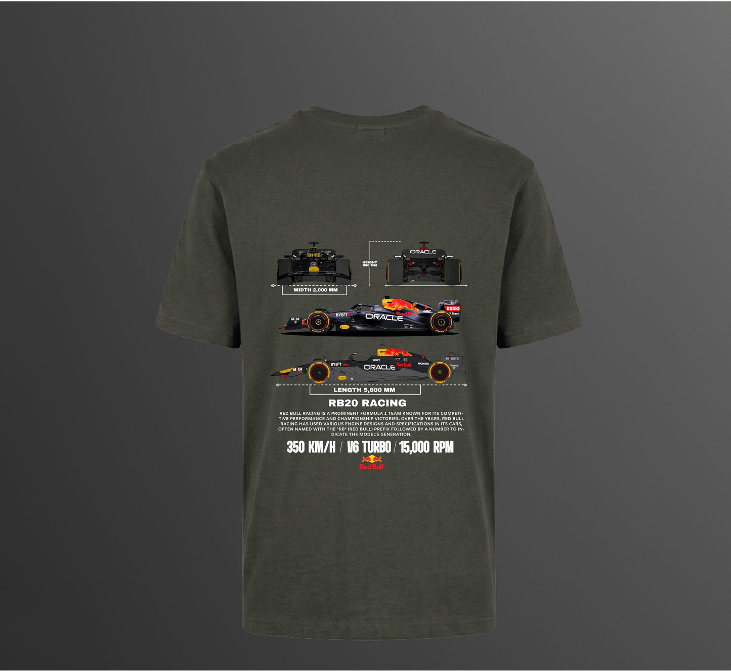 RB20 F1