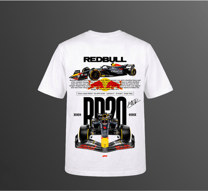 RB20B